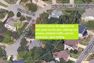 101 Fringe Tree Ct, Cary, NC 27519 - Photo 2