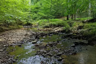 825 Oxbow Crossing Rd, Chapel Hill, NC 27516 - Photo 76