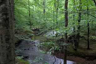 825 Oxbow Crossing Rd, Chapel Hill, NC 27516 - Photo 70