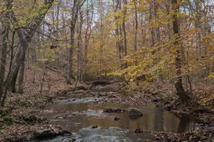 825 Oxbow Crossing Rd, Chapel Hill, NC 27516 - Photo 78