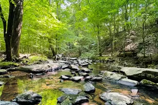 825 Oxbow Crossing Rd, Chapel Hill, NC 27516 - Photo 80