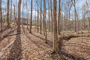 825 Oxbow Crossing Rd, Chapel Hill, NC 27516 - Photo 74