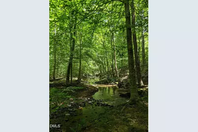 825 Oxbow Crossing Road, Chapel Hill, NC 27516 - Photo 72