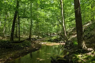 825 Oxbow Crossing Rd, Chapel Hill, NC 27516 - Photo 2