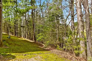 157 Summit Oaks Ln, Holly Springs, NC 27540 - Photo 18