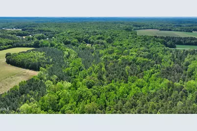 2822 Little River Church Road, Hurdle Mills, NC 27541 - Photo 42