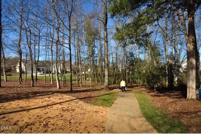 424 Powell Place Lane, Pittsboro, NC 27312 - Photo 90