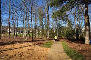 424 Powell Pl Ln, Pittsboro, NC 27312 - Photo 90