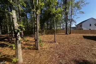 181 Bullseye Ct, Middlesex, NC 27557 - Photo 12