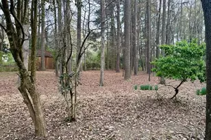 22 Meadowbrook Ave, Durham, NC 27712 - Photo 4