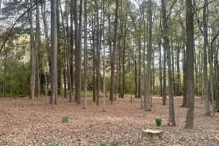 22 Meadowbrook Ave, Durham, NC 27712 - Photo 18