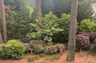 3924 Forgotten Pond Ave, Wake Forest, NC 27587 - Photo 46