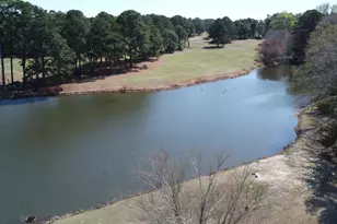 808 E Beechtree Dr, Nashville, NC 27856 - Photo 72