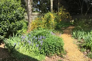 101 Magerton Ct, Cary, NC 27511 - Photo 32