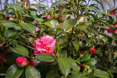 7212 Circle Bay Court, Holly Springs, NC 27540 - Photo 50