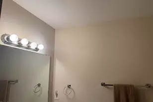 736 Lynch and Hedgepeth Rd, Hollister, NC 27844 - Photo 16