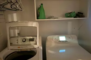 736 Lynch and Hedgepeth Rd, Hollister, NC 27844 - Photo 22