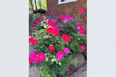 521 S Main Street, Wake Forest, NC 27587 - Photo 64