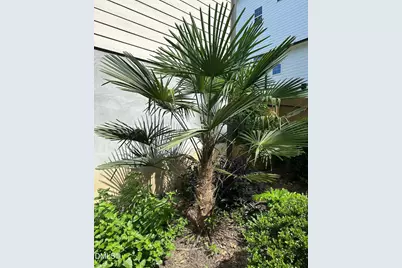 4603 Brighton Ridge Drive, Apex, NC 27539 - Photo 54