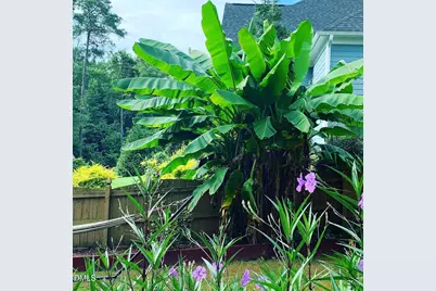 4603 Brighton Ridge Drive, Apex, NC 27539 - Photo 52