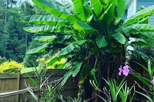 4603 Brighton Ridge Dr, Apex, NC 27539 - Photo 52