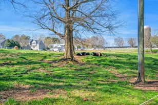 23 E Camden, Pittsboro, NC 27312 - Photo 60