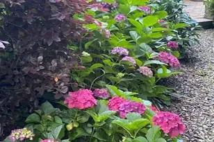 7804 Milltrace Run, Raleigh, NC 27615 - Photo 26