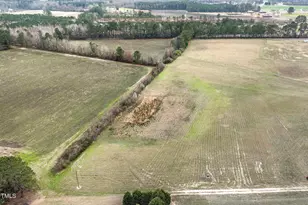 239 Surles Rd, Benson, NC 27504 - Photo 62