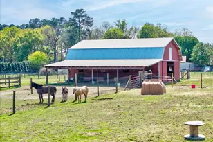 31 Chasewood Dr, Angier, NC 27501 - Photo 54