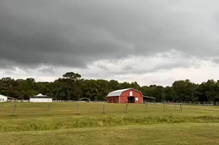 31 Chasewood Dr, Angier, NC 27501 - Photo 70