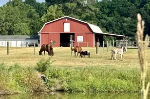 31 Chasewood Dr, Angier, NC 27501 - Photo 82