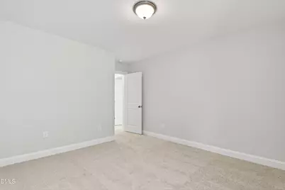 189 Margot Manor Drive, Benson, NC 27504 - Photo 48