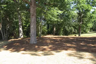 306 S Elm St, Creedmoor, NC 27522 - Photo 28