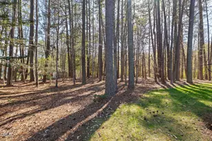 2518 McGowan Ct, Wake Forest, NC 27587 - Photo 54