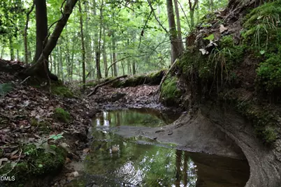 1232 Rivermead Lane, Wake Forest, NC 27587 - Photo 16