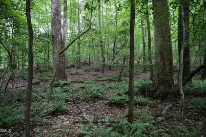 1232 Rivermead Lane, Wake Forest, NC 27587 - Photo 22