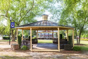 43 Ara Ct, Angier, NC 27501 - Photo 42