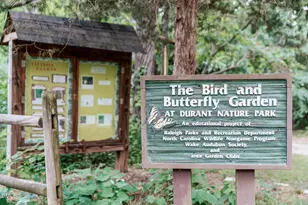 4811 Gossamer Ln, Raleigh, NC 27616 - Photo 48