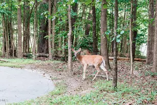 4811 Gossamer Ln, Raleigh, NC 27616 - Photo 46