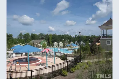 117 Deardom Way, Chapel Hill, NC 27516 - Photo 30