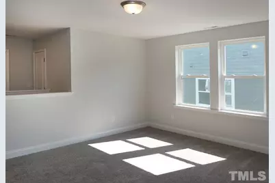 117 Deardom Way, Chapel Hill, NC 27516 - Photo 14