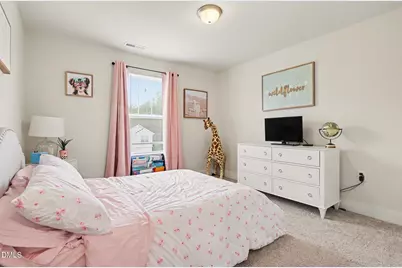 209 Fast Pitch Lane, Four Oaks, NC 27524 - Photo 20