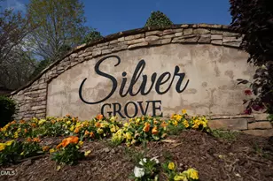 902 Green Ash Ln, Cary, NC 27513 - Photo 66