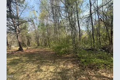 73 Hall Road, Erwin, NC 28339 - Photo 6