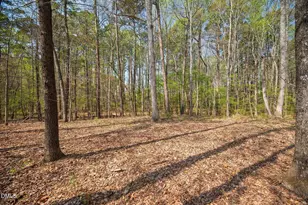 110 Vintage Hill Cir, Apex, NC 27539 - Photo 52
