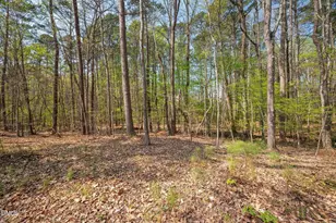 110 Vintage Hill Cir, Apex, NC 27539 - Photo 54