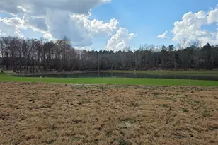 115 Water Willow Ln, Zebulon, NC 27597 - Photo 30