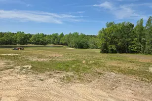 115 Water Willow Ln, Zebulon, NC 27597 - Photo 28