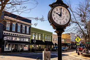 1003 Tender Dr, Apex, NC 27502 - Photo 32