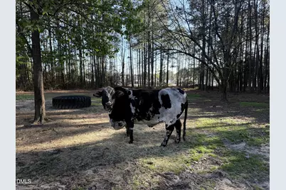 3032 Federal Road, Benson, NC 27504 - Photo 12